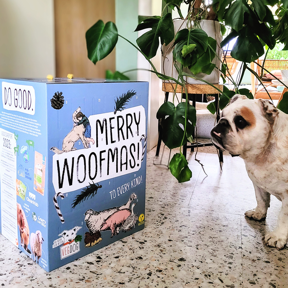 vegdog adventskalender vegan adventskalender voor de hond