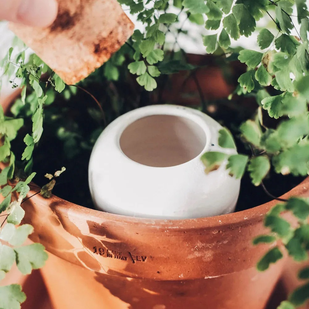 Pepin Olla Hydratante oya 25cl