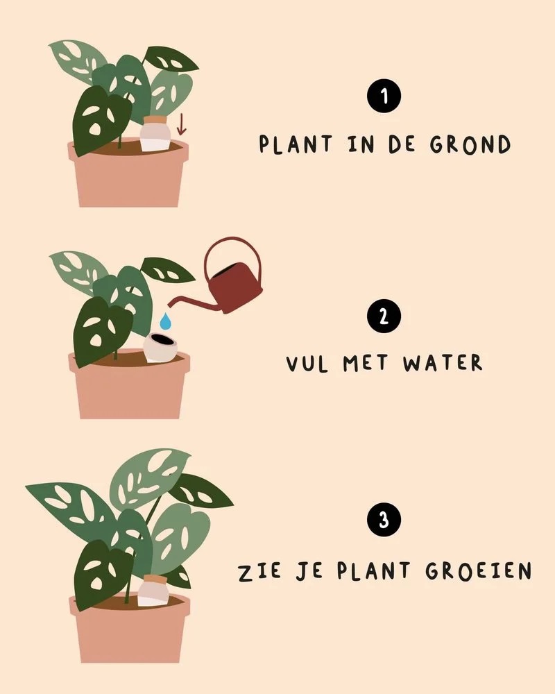 Pepin Olla Hydratante oya 25cl