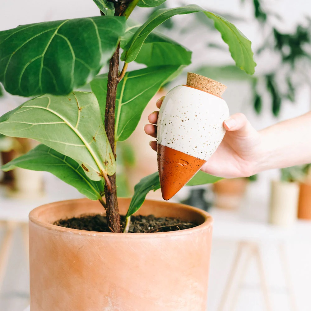 Pepin Olla Hydratante oya 25cl