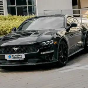 18+ Ford Mustang LED Headlights with DRL Projector