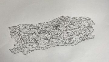 Intricate black and white sketch of a textured organic element, reflecting natural patterns from Taranaki.