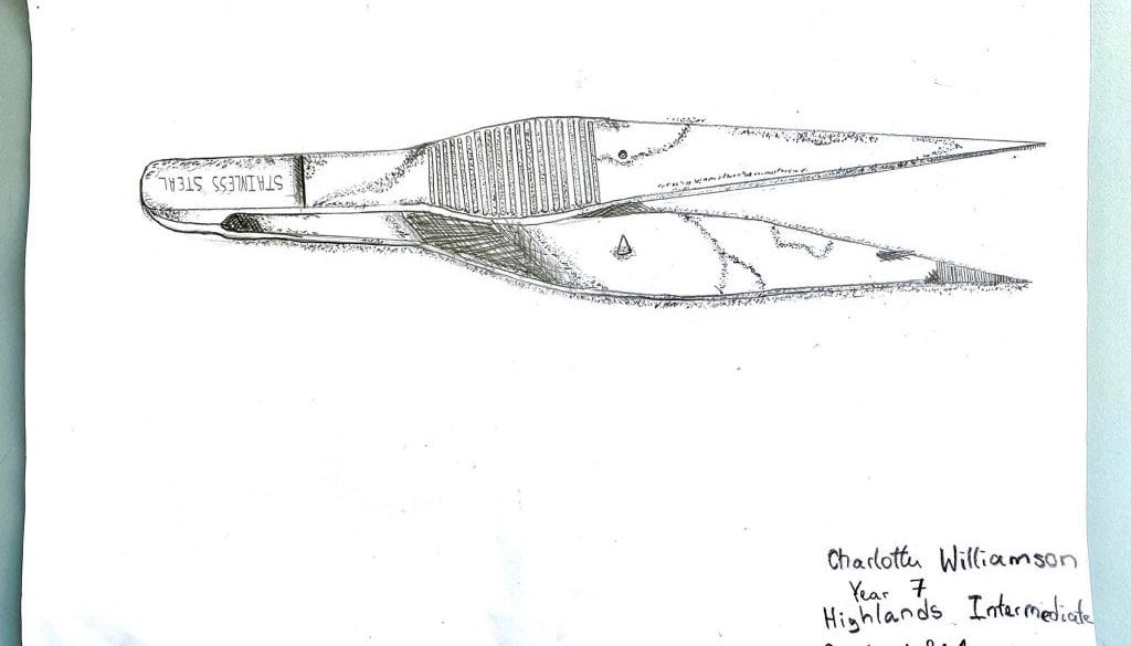 OD_07_HIS_CHARLOTTE_WILLIAMSON_1382