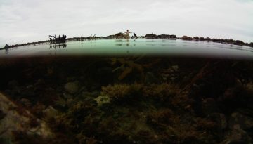 SP_07_SHC_CARMEN_HERMANNS_1277