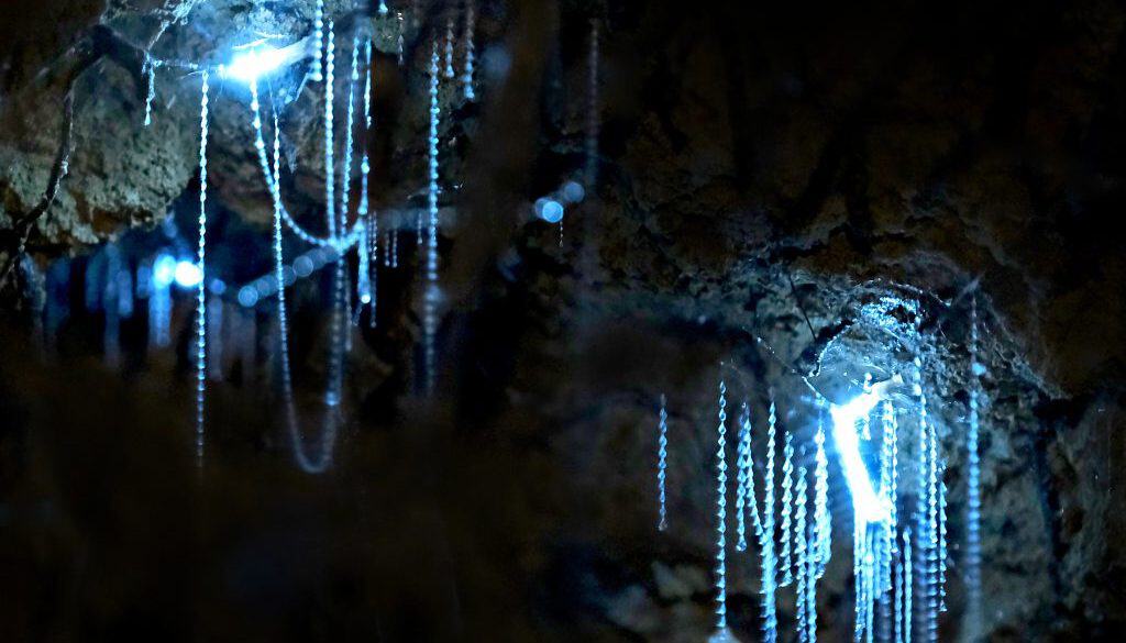 SP_10_SHC_PAIGE_SCANNELL_1756