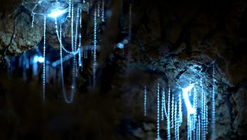 SP_10_SHC_PAIGE_SCANNELL_1756