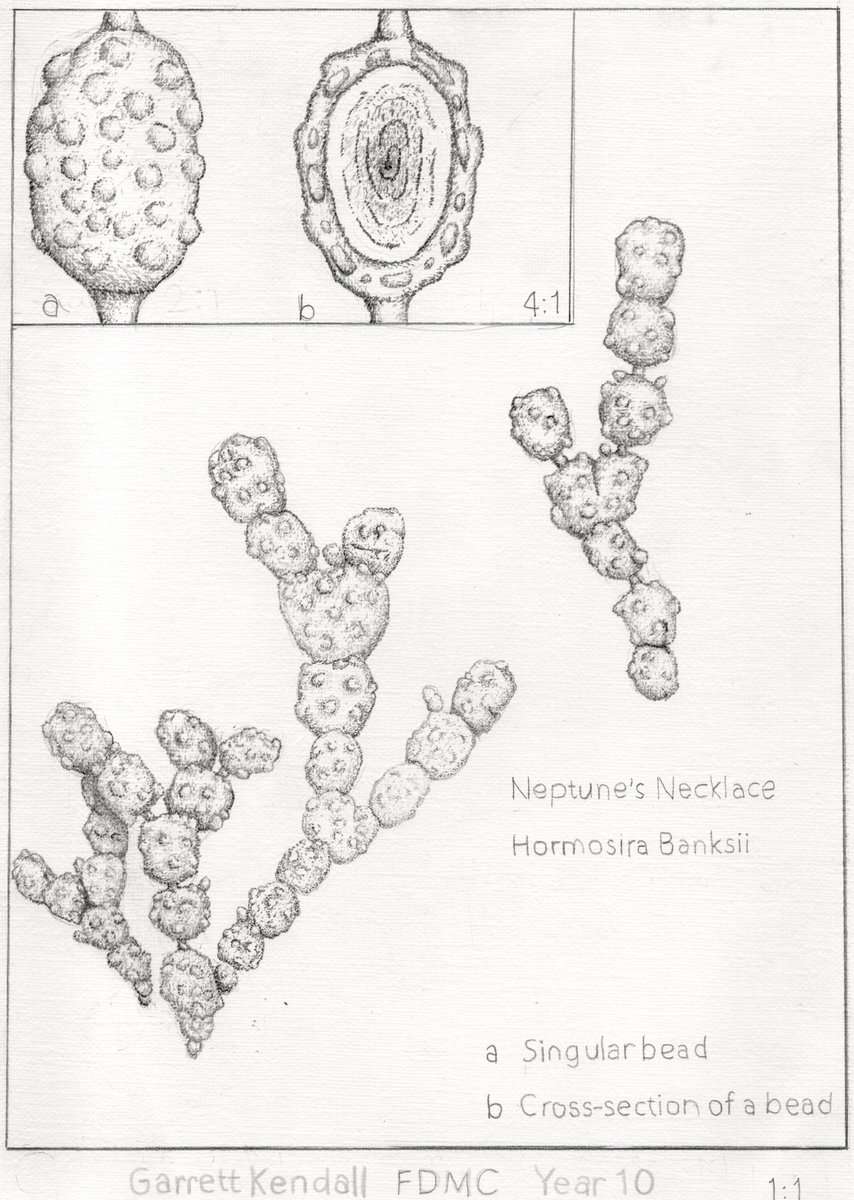 OD_10_FDC_GARRETT_KENDALL_1360