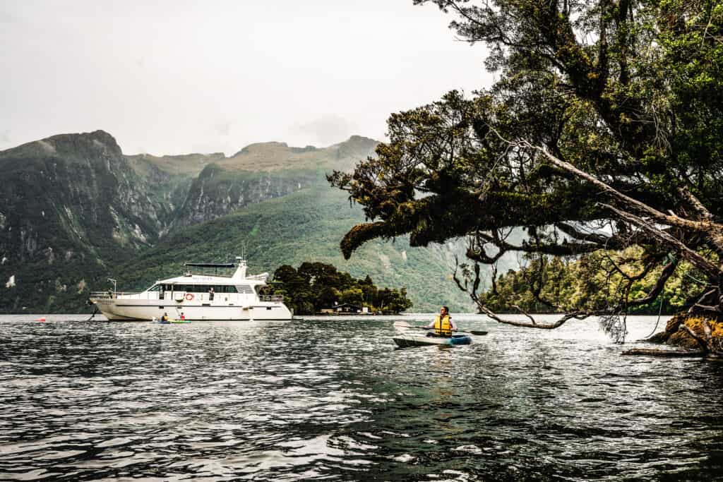Southern Secret overnight cruise boat exploring Doubtful Sound Fiordland, small group