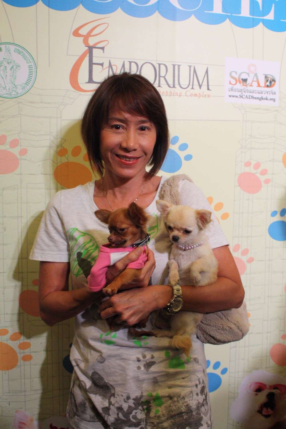 คุณศุภลักษณ์ อัมพุช ลูกค้าฟาร์มชิวาวา T Cup Sweet Home
