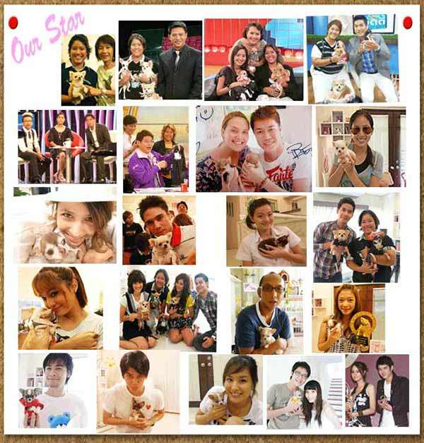 รวมคนดังที่ไว้วางใจฟาร์มชิวาวา T Cup Sweet Home