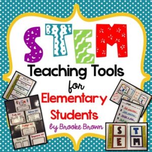STEM Journal/Interactive Notebook