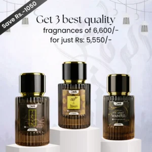 3x Best Quality Fragrances | Launch Special