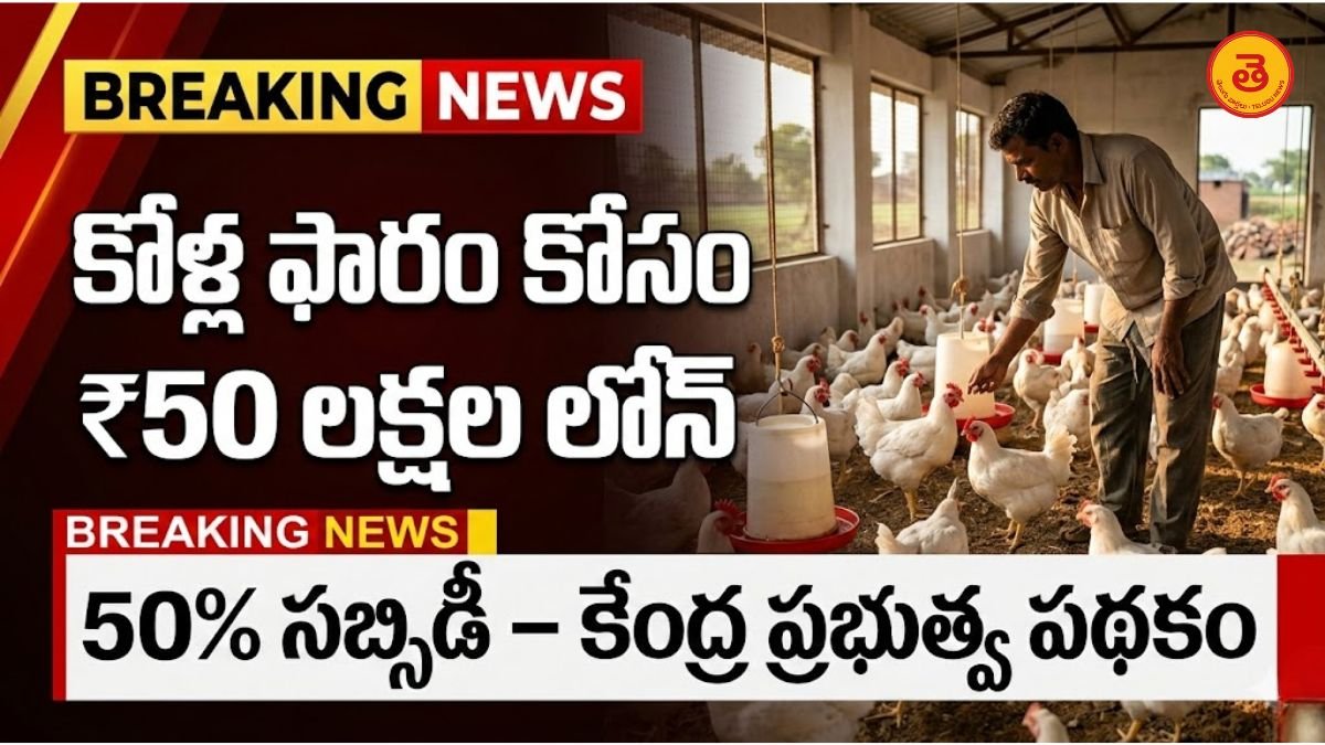 National Livestock Mission Subsidy Scheme 2026