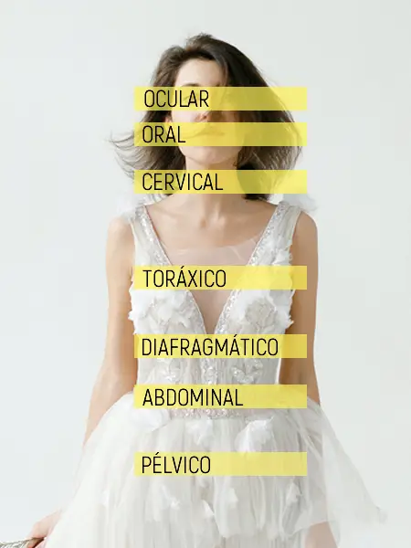 Mapa dos sete segmentos musculares na terapia reichiana de Wilhelm Reich