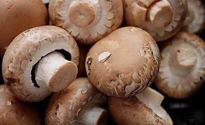 Champignons de Paris frais, produits de qualité pour cuisine gastronomique.