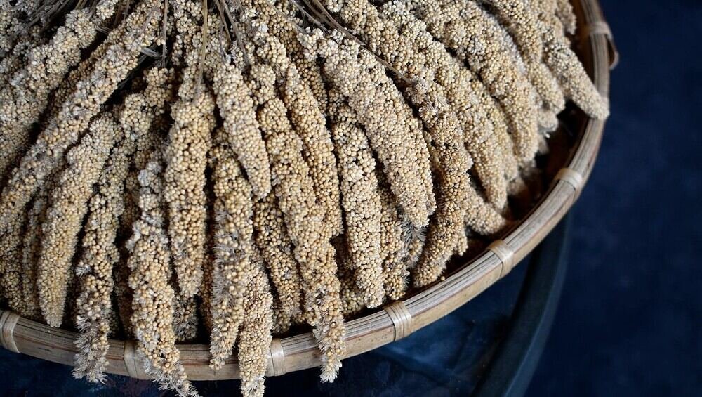 spawn de millet
