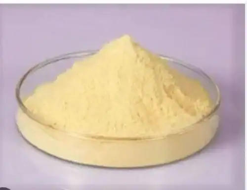 Poudre de champignon en poudre de qualité supérieure dans un plat en verre.