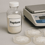 Peptone en mycologie utilisée pour préparer des milieux de culture de champignons en laboratoire TerraFungi