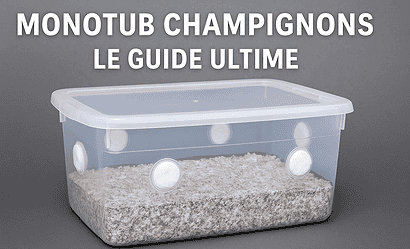 monotub champignons