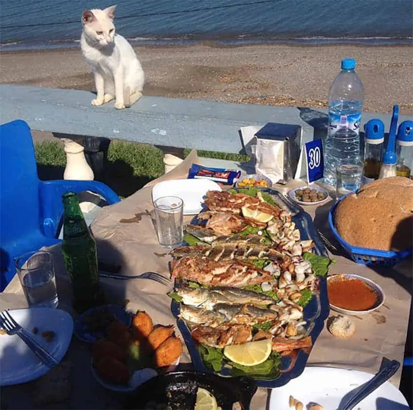 azla restaurante