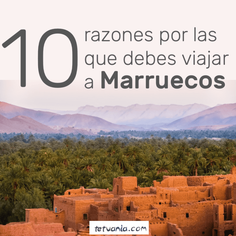 Paisaje de Tetuán con arquitectura tradicional y montañas al fondo.