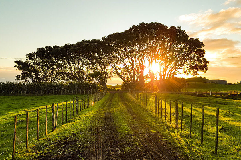 Sunset over rural farm landscape in New Zealand with lush fields and trees, promoting Te Tumu Kāinga community living.