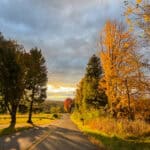 A winding road leads into the distance bordered by evergreen and deciduous trees in beautiful fall colors, all under a blanket of golden sunlight.