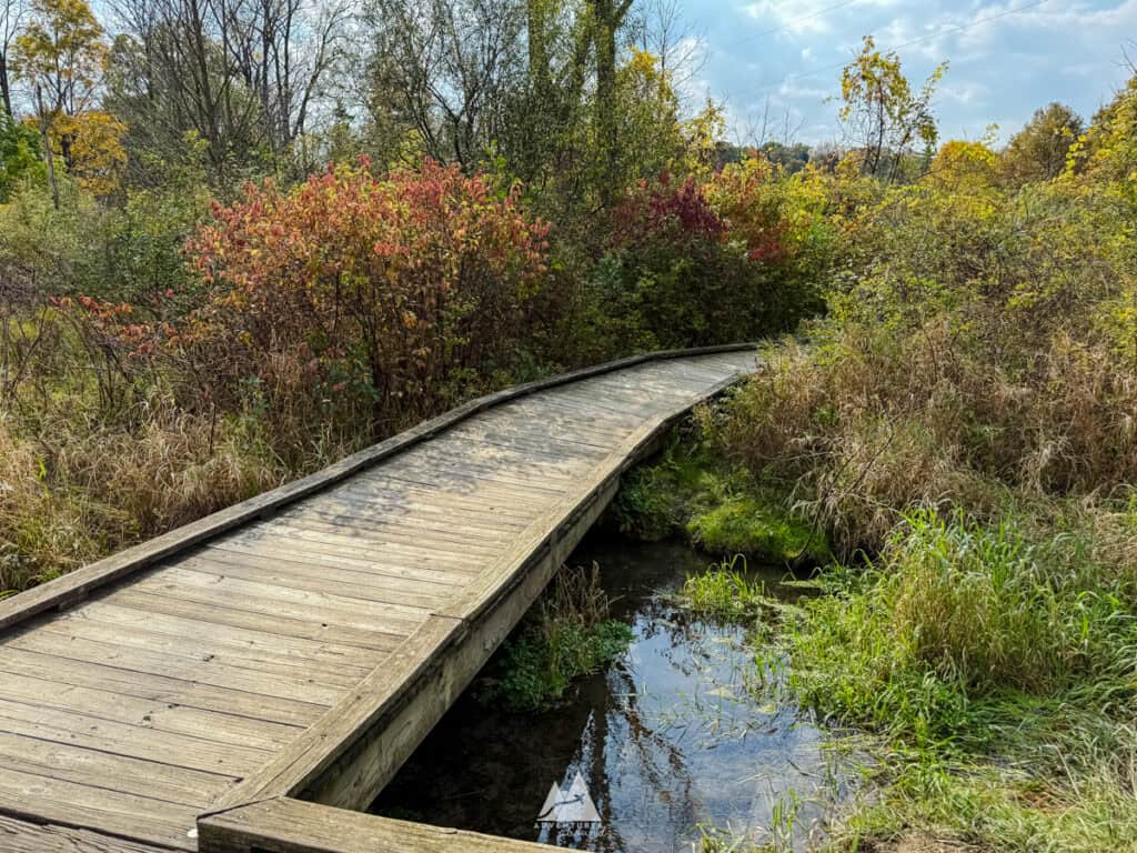 A wooden boardwalk curves through a marshy landscape, surrounded by tall grasses and bushes with hints of red, yellow, and green foliage. A small clear stream flows beneath the boardwalk, reflecting the sky. The background is filled with trees, some with autumn leaves, under a partly cloudy sky.