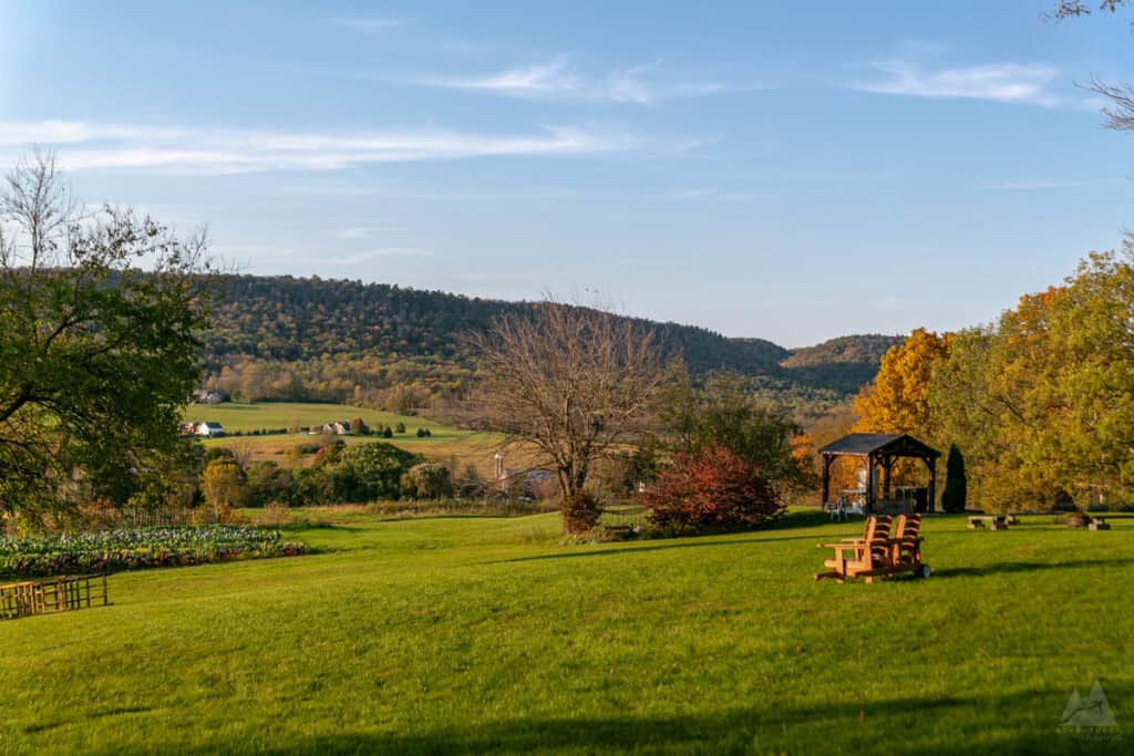 A scenic landscape of rolling green fields with wooden Adirondack chairs and a gazebo in the foreground at ReFarm Cafe on Windswept Farm in Happy Valley. In the distance, small white farmhouses and a forested hill are visible under a clear blue sky, capturing a peaceful countryside view.