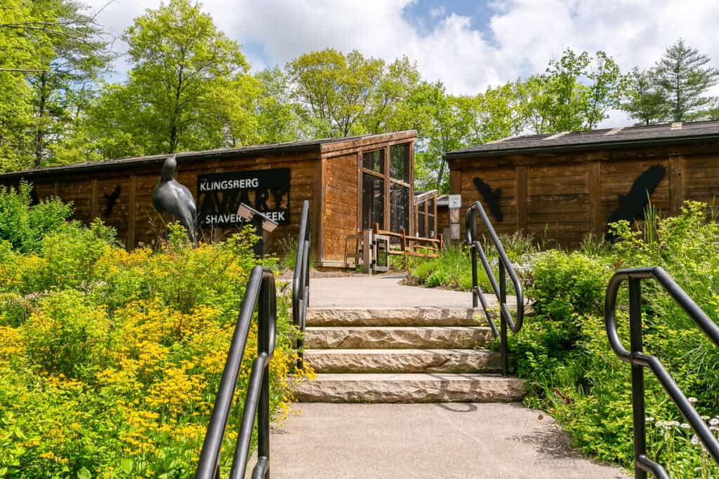 A wooden building with large glass windows is surrounded by lush greenery and a stone staircase leading up to its entrance. A metal statue of a bird stands near the entrance, while metal silhouettes of birds decorate the building’s exterior. The sign reads "KLINGSBERG AVIARY SHAVER’S CREEK."