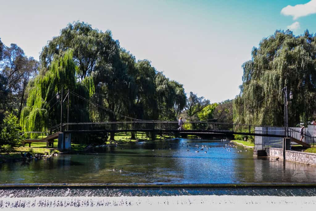 A scenic park with a suspension bridge stretching over a calm pond, surrounded by lush, drooping willow trees. Ducks and geese float on the water, while a person walks across the bridge. Sunlight filters through the trees, casting a peaceful glow on the green landscape.