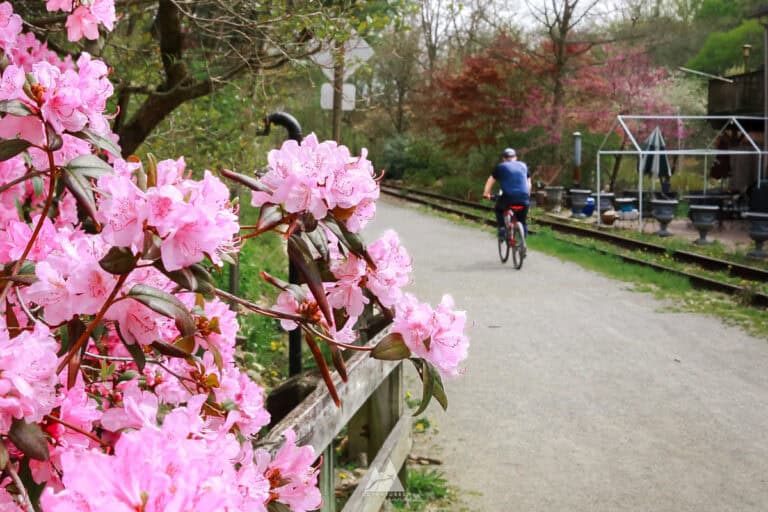 Ales, Rails, and Trails: Exploring the Heritage Rail Trail in York PA