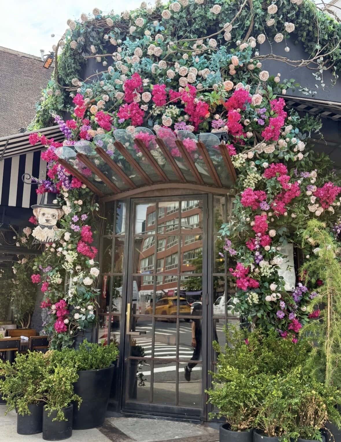 Loulou Petit Bistro NYC: The Most Beautiful Dog-Friendly Restaurant in Chelsea