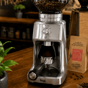 Molino Sage Dose Control™ Pro Silver