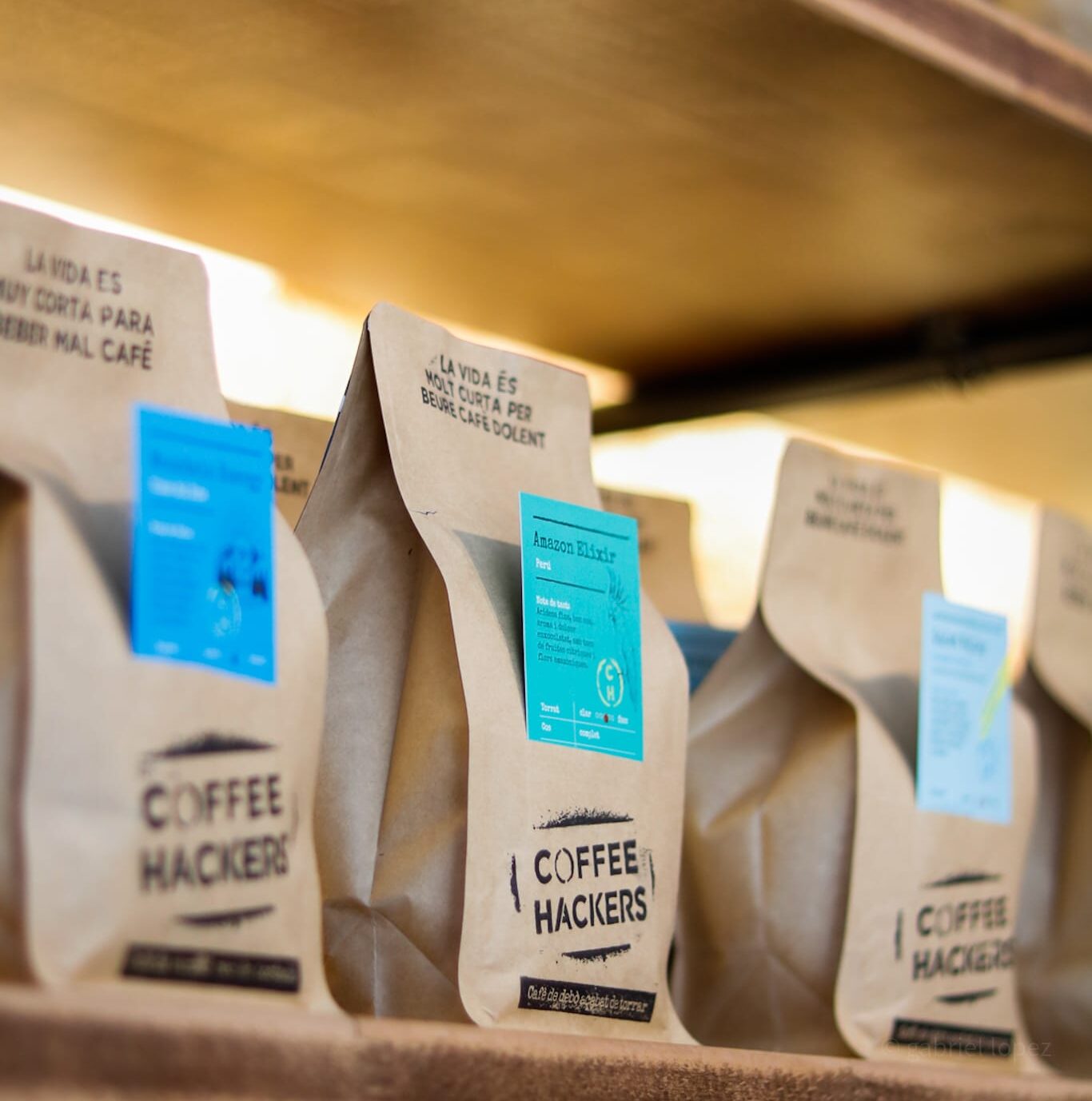 You are currently viewing THE DIFFERENCE BETWEEN ARABICA AND ROBUSTA