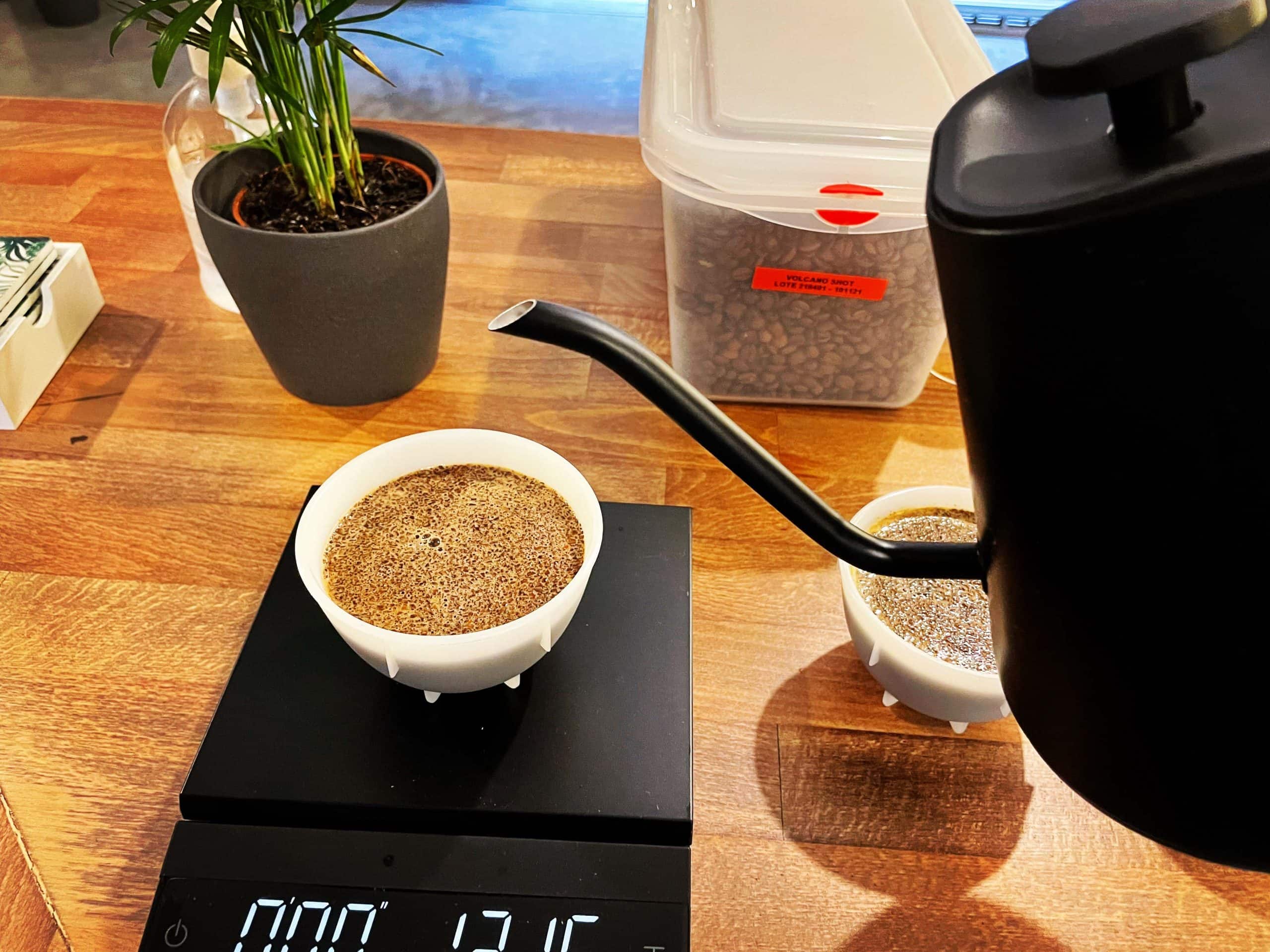 En este momento estás viendo ¿Qué es el café de especialidad? Guía completa