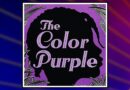 The Color Purple by Alice Walker banner
