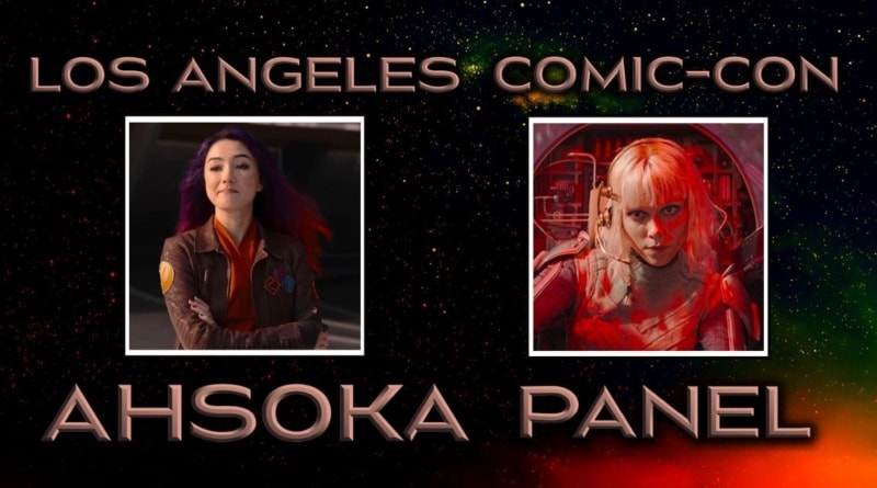 Ahsoka Panel Sabine and Shin Banner