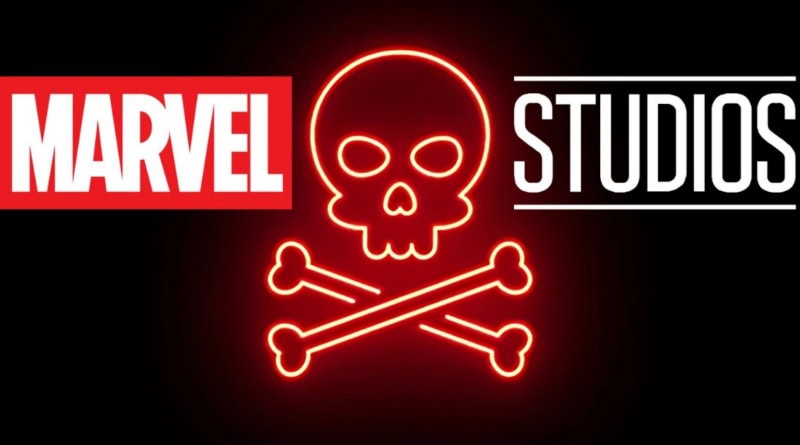 Marvel Studios Jolly Roger Punisher Banner