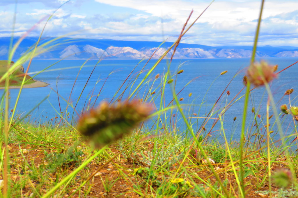 Hải Âu trên hồ Bajkal
