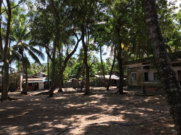 Đầu làng Rạch Tràm có vườn dừa