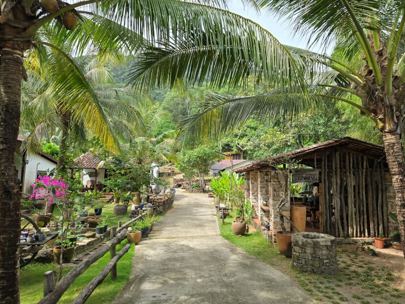 nhà gỗ dưới bóng dừa