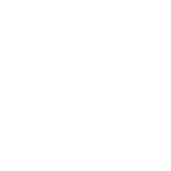 flow center logo