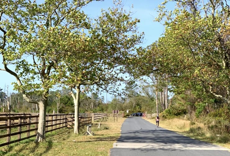 03_03_01 trail + paddock-min