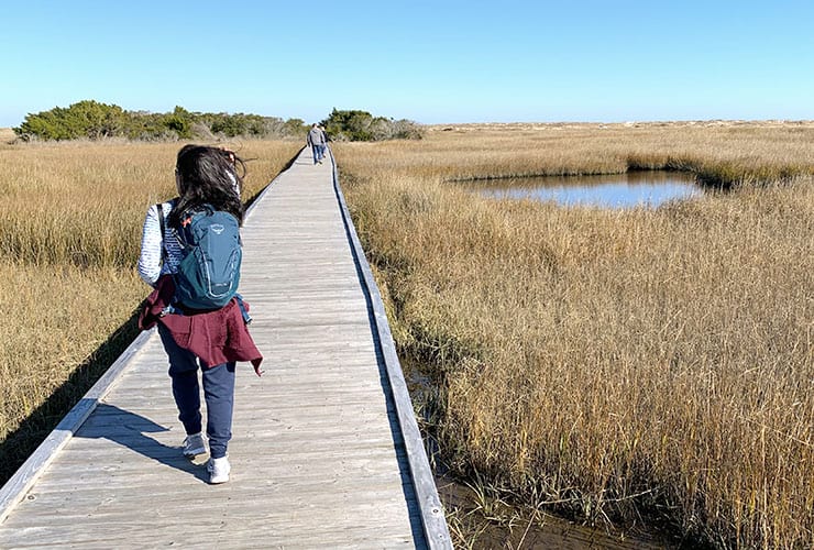 Path from the Robert Harrill Hermit House