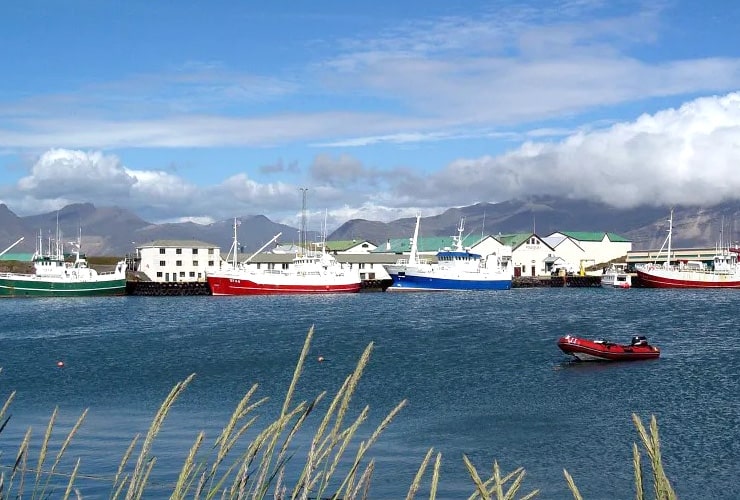 Höfn Harbor