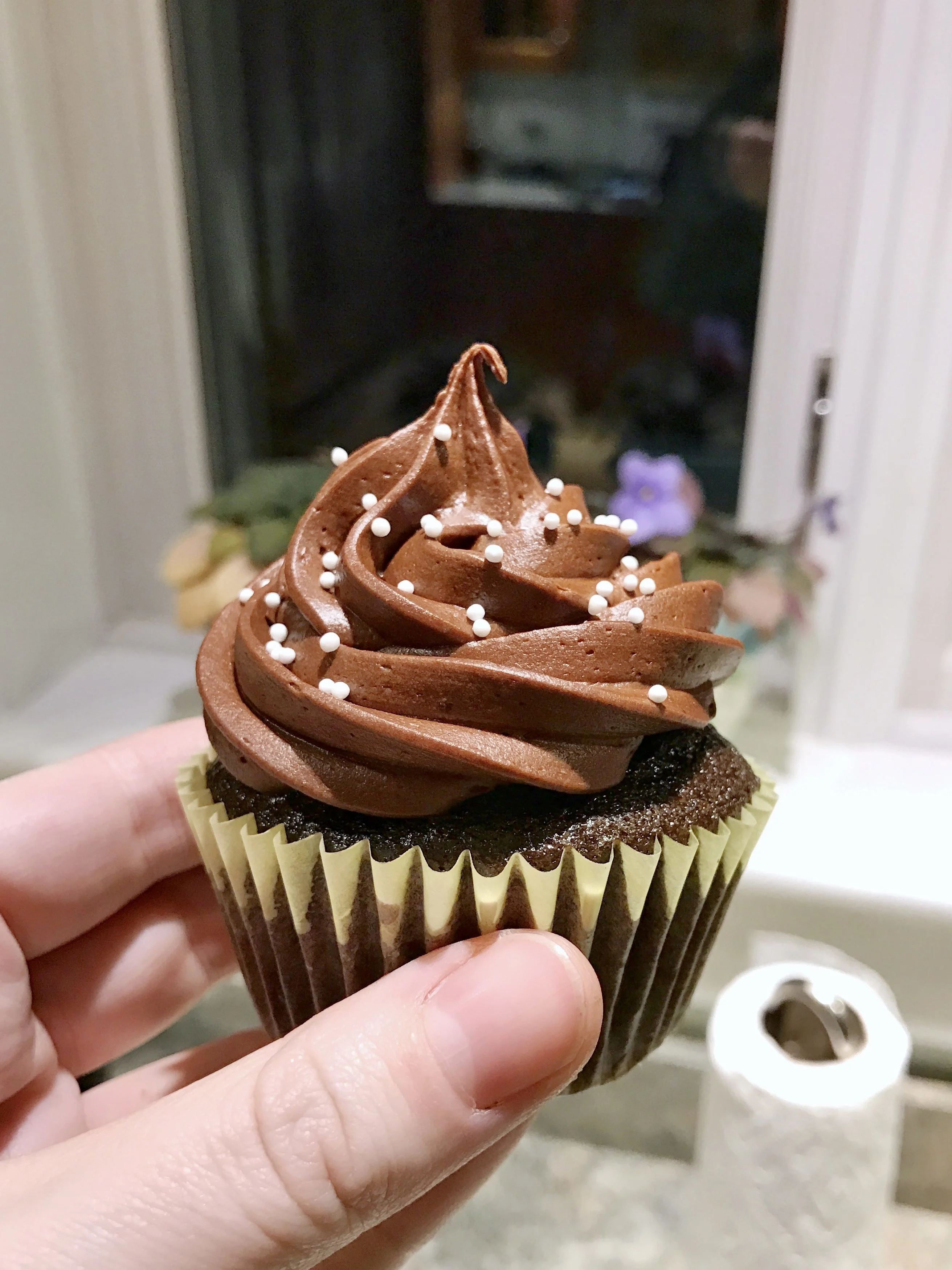 chocolate cupcake with chocolate icing