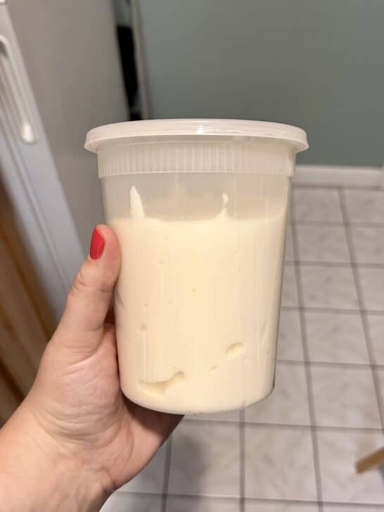 32 ounce plastic resealable container for storing royal icing