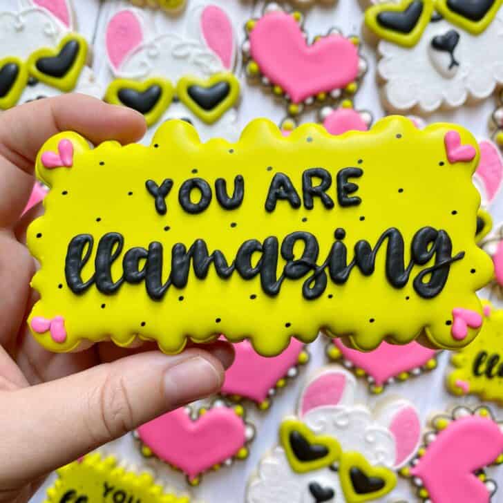 photo of writing with royal icing on a cookie: pressure piped saying YOU ARE LLAMAZING