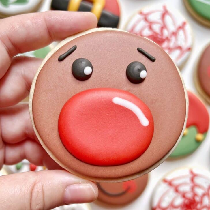 rudolf Cookies decorated with royal icing